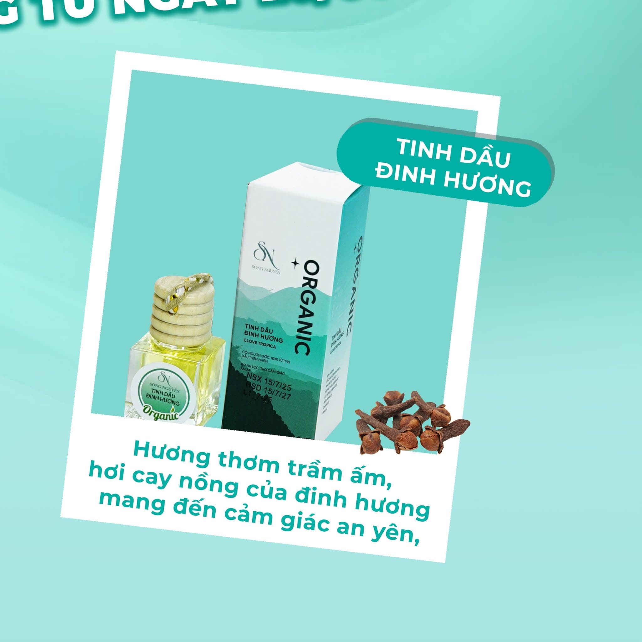 Tinh Dầu Đinh Hương