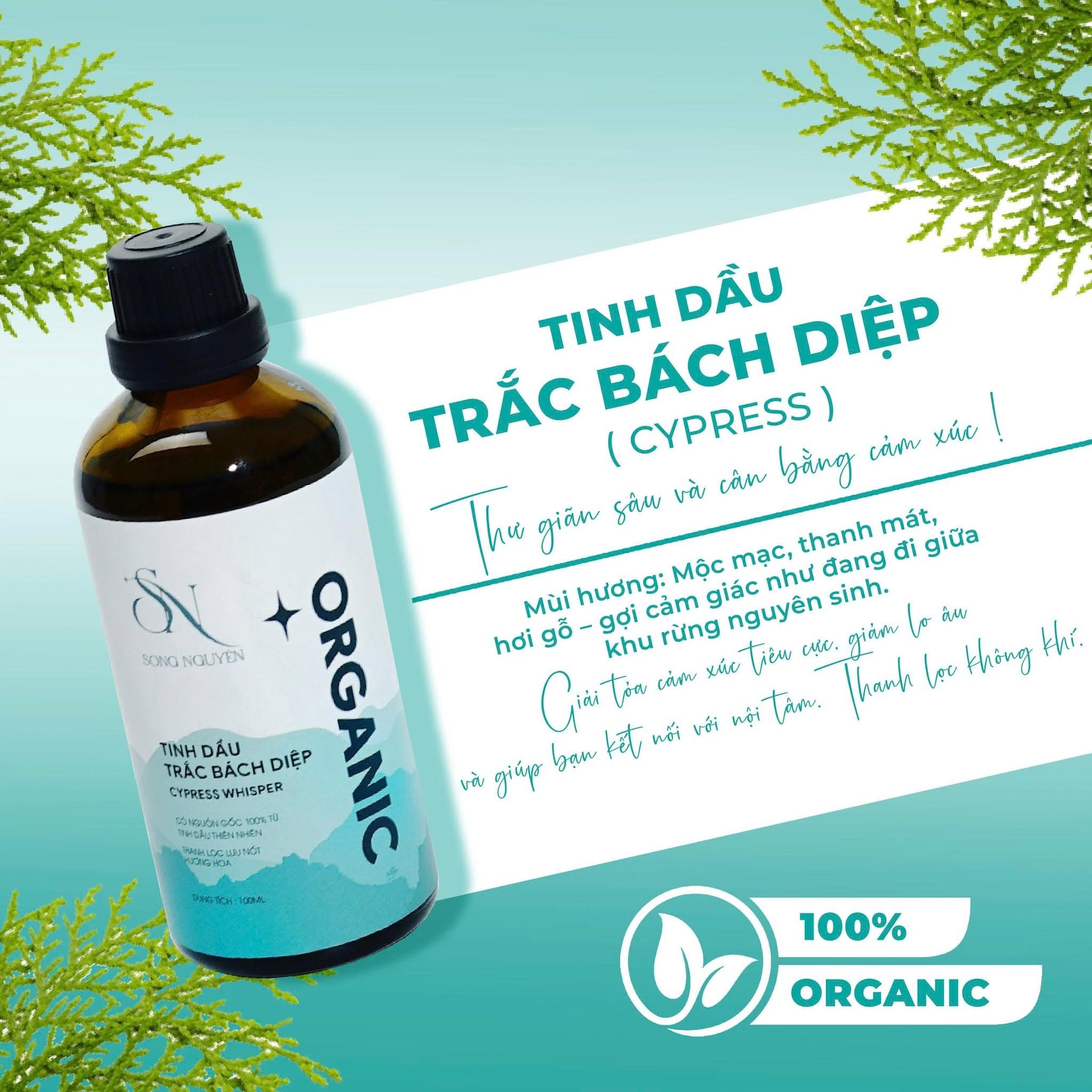 Tinh Dầu Trắc Bách Diệp